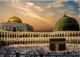 Web Site Demo Product 6